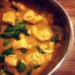 skinnymixer's Chicken Madras