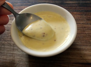 skinnymixer's Whole Egg Mayonnaise