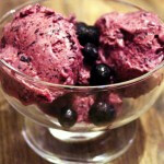 skinnymixer's Instant Blueberry Icecream