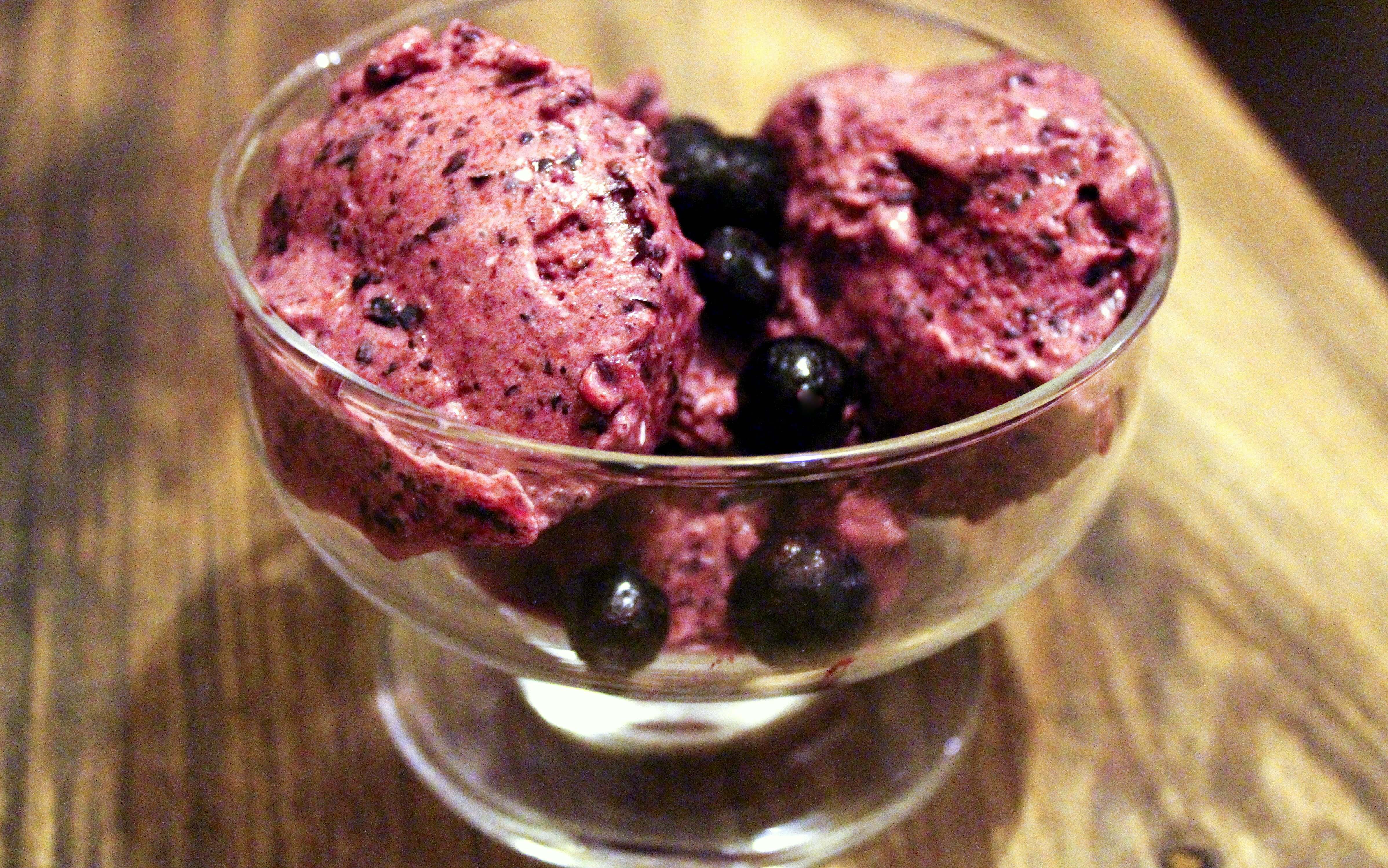 skinnymixer's Instant Blueberry Icecream