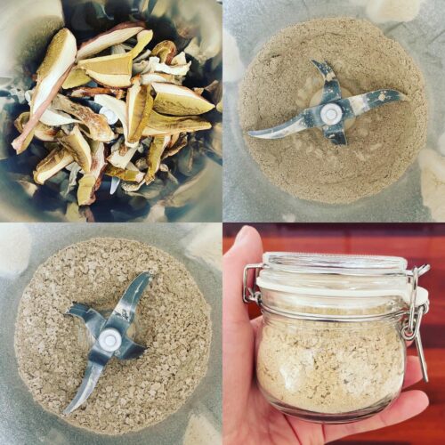 skinnymixer's Porcini Salt Skinnymixers