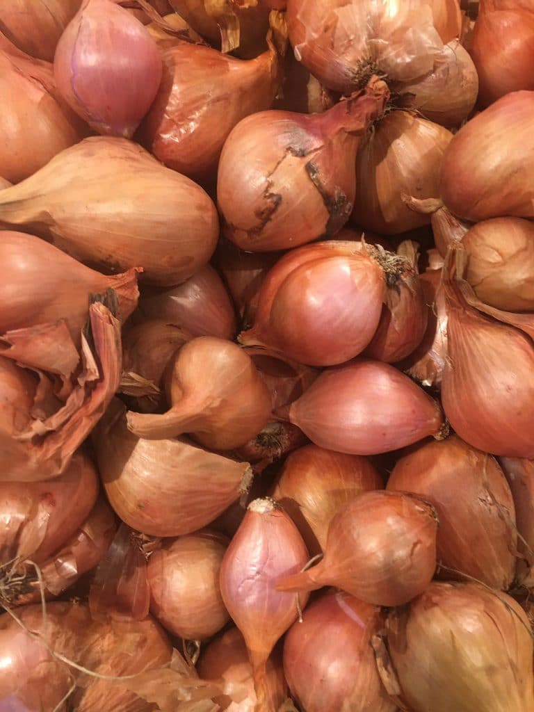 Shallots skinnymixers