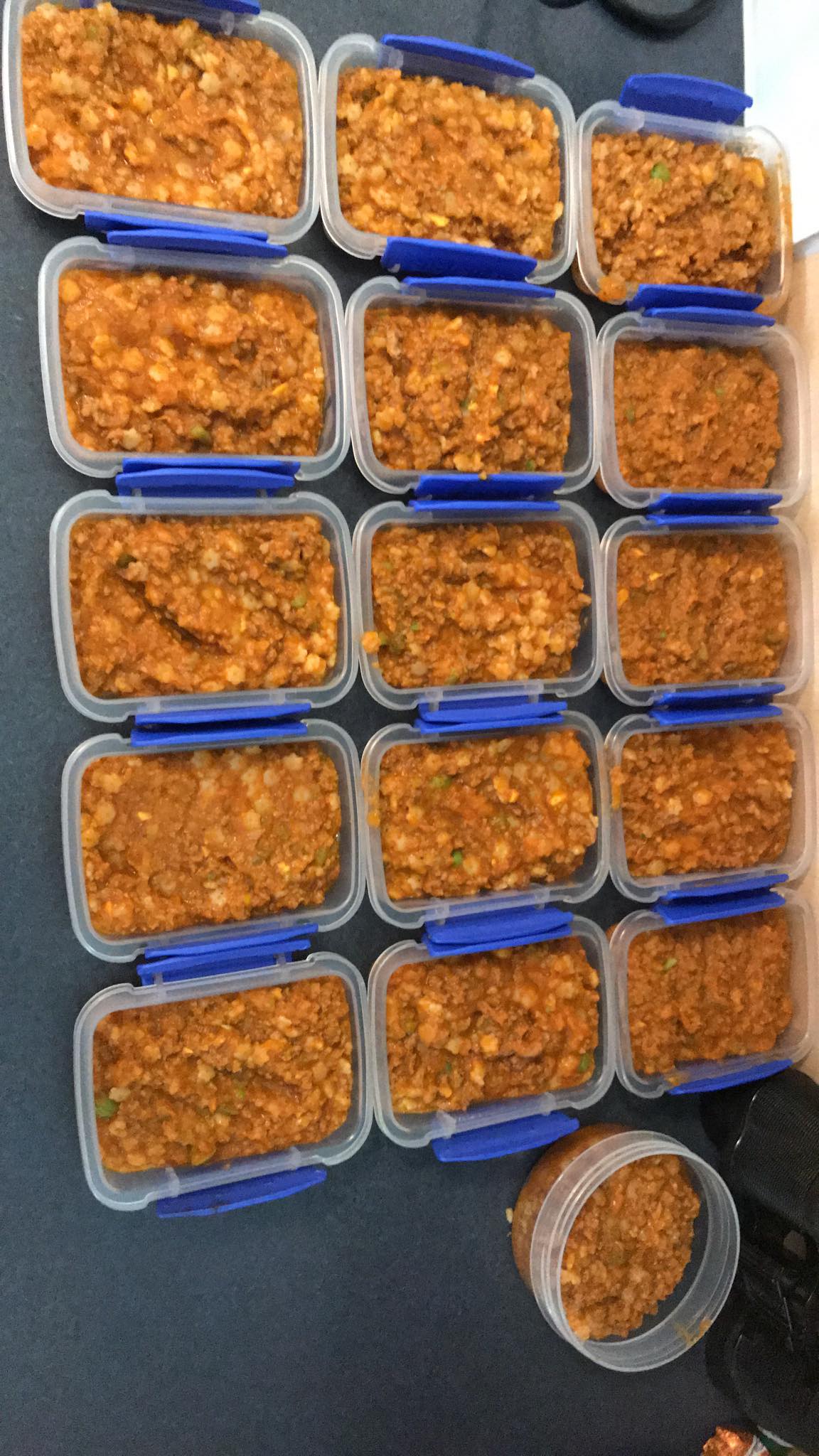 The Top 12 Thermomix Recipes to Freeze skinnymixers