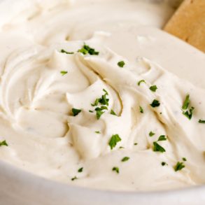 French Onion Dip Skinnymixers Thermomix