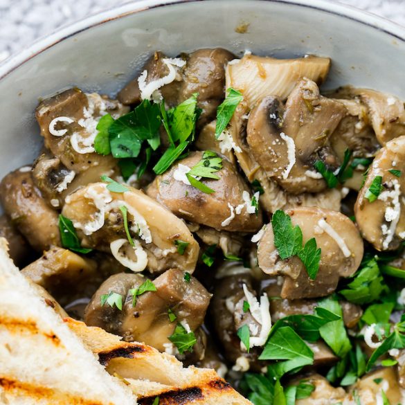 Mushroom Ragout Thermomix