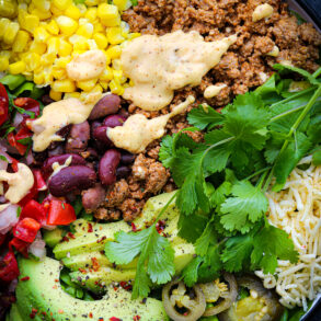 Burrito Bowl Skinnymixers