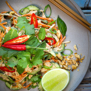 Thai Coconut Chicken Salad Thermomix Skinnymixers