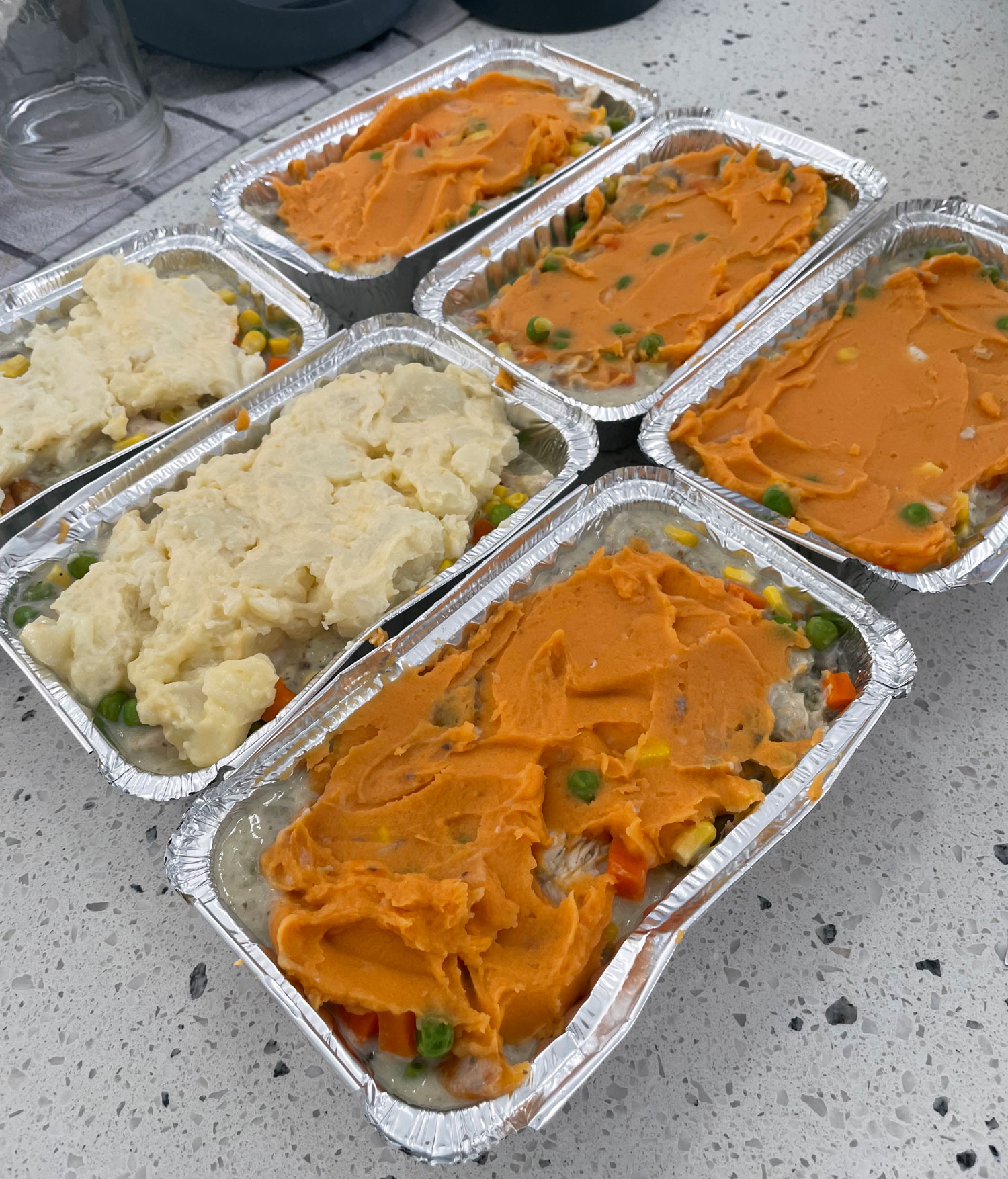 Healthy Thermomix Meal Prep - 97 freezable THMVI meals for $2.88 per