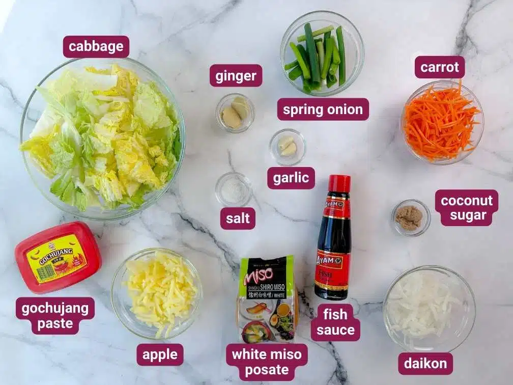 What you will need to make Cheat's Kimchi from SkinnyAsia