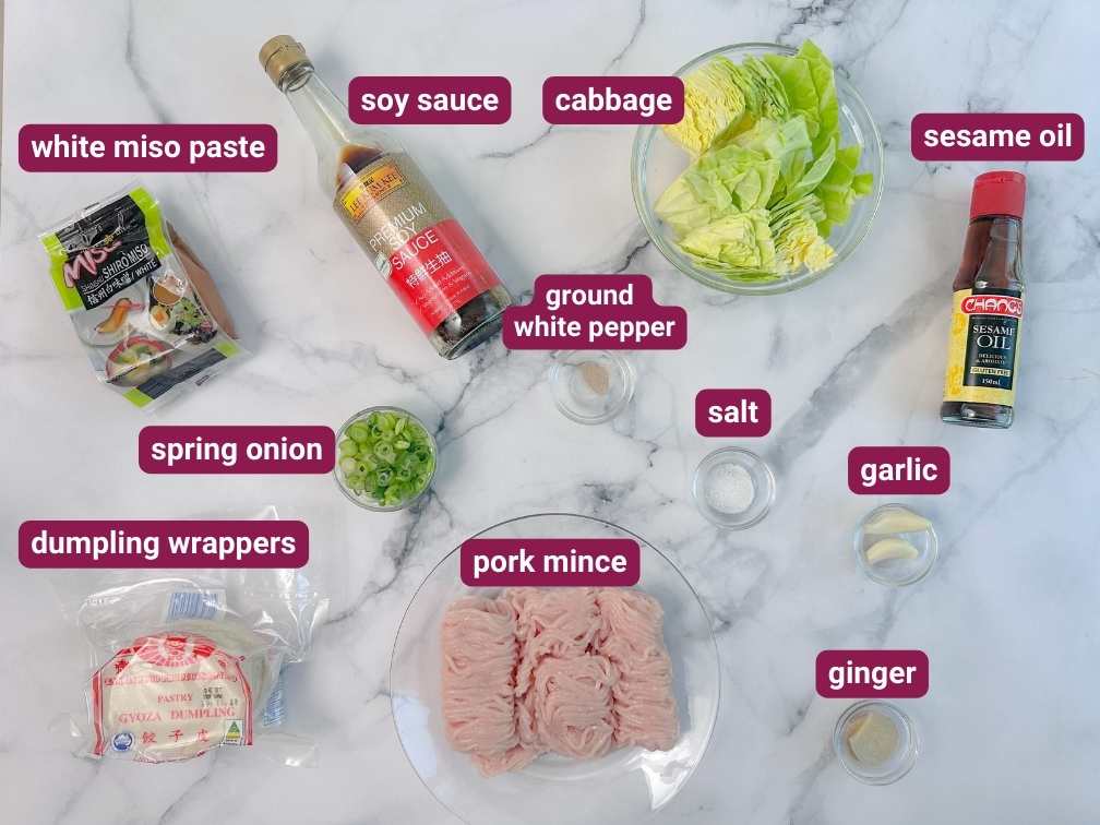 What you will need to make Gyoza in SkinnyAsia