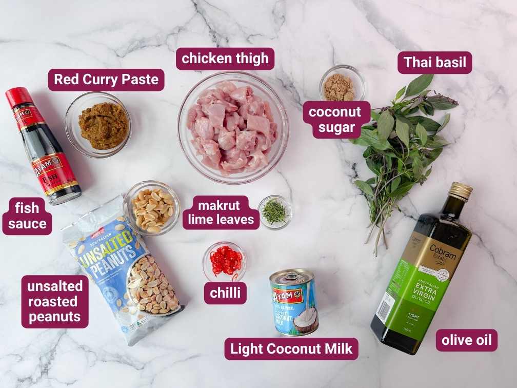 What you will need to make the SkinnyAsia Panang Chicken Curry in the Thermomix