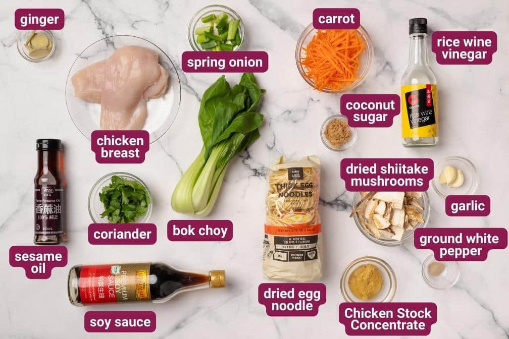 Asian Chicken Noodle Soup Ingredients