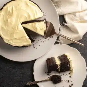 Skinnymixers Guinness Cake