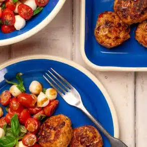 Skinnymixers Cacciatore Rissoles from SkinnyMediterranean.