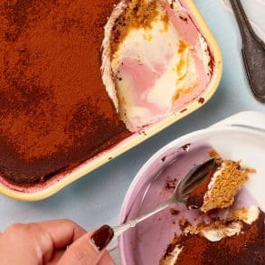 Skinnymixers Easy Tiramisu from SkinnyMediterranean.