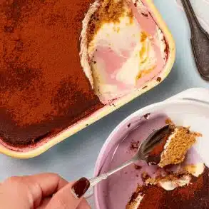 Skinnymixers Easy Tiramisu from SkinnyMediterranean.