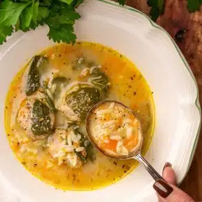 Skinnymixers Italian Wedding Soup from SkinnyMediterranean.