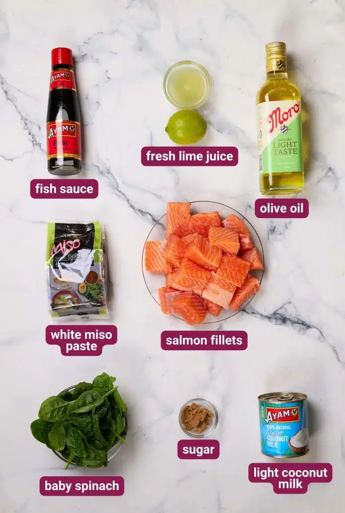What you will need to make Coconut Miso Salmon Curry from Dinners 4