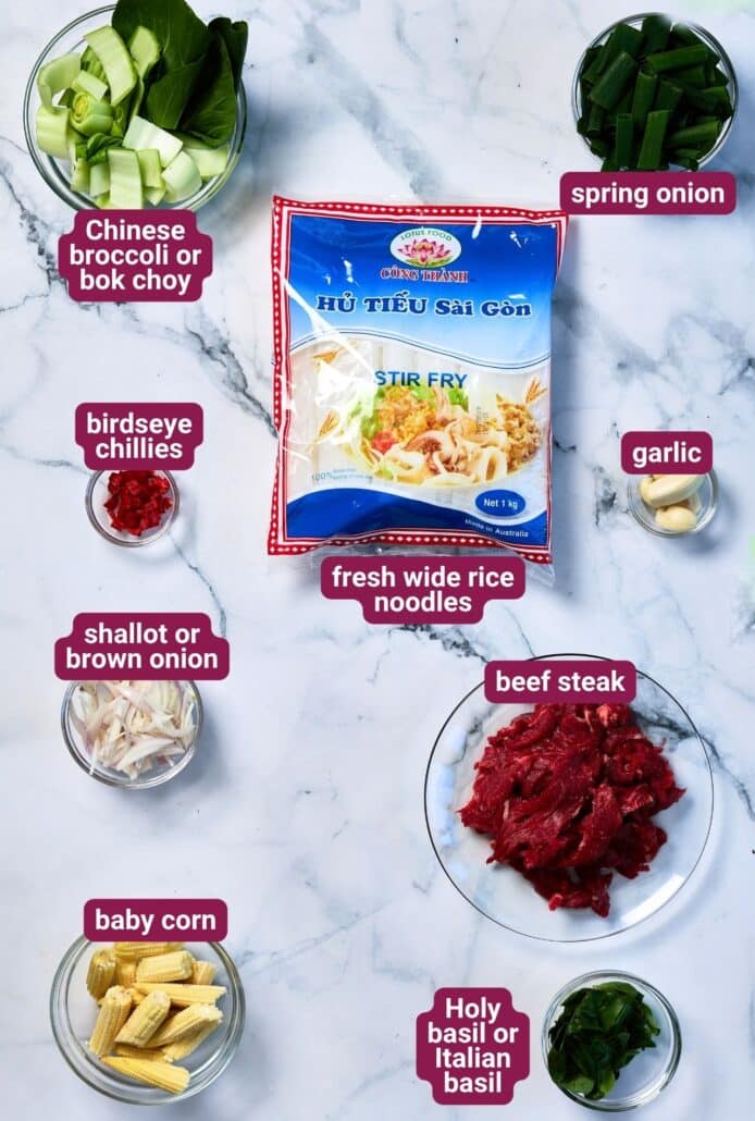 What you will need to make Drunken Noodles (Pad Kee Mao) from SkinnyAsia2