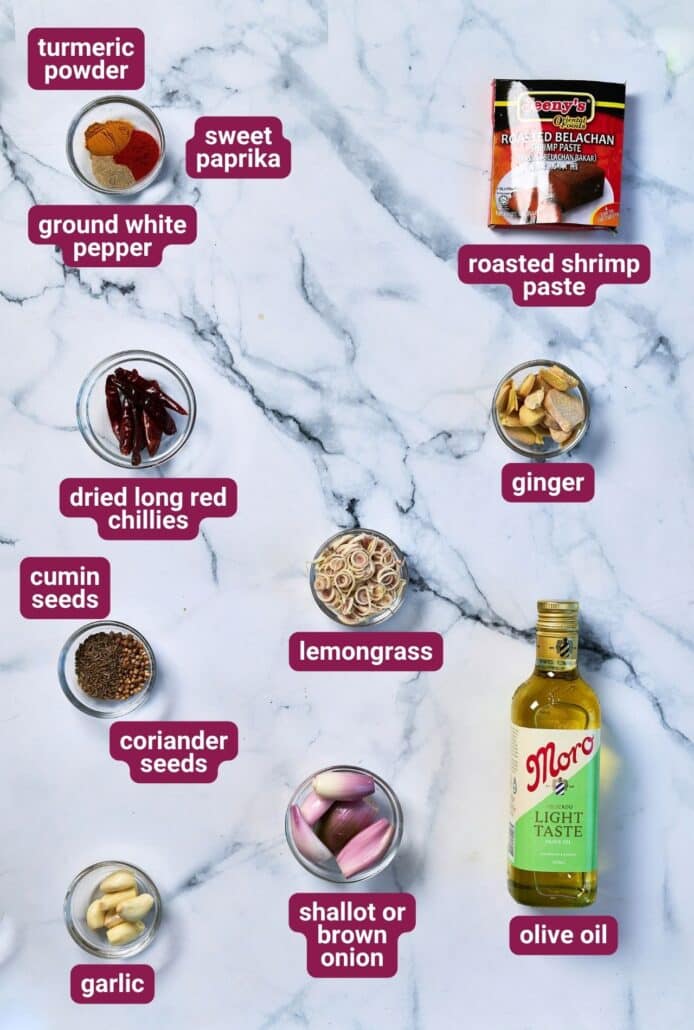 What you will need to make Malaysian Chicken Curry (Nyonya-style) from SkinnyAsia2