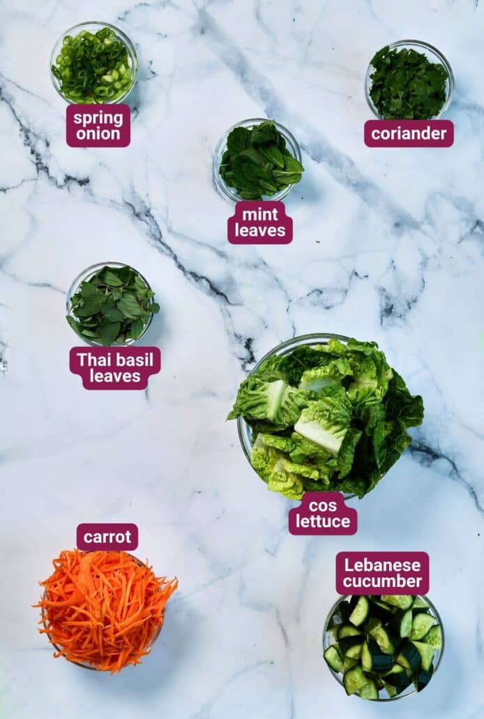 What you will need to make Thai BBQ Chicken Crispy Rice Salad from SkinnyAsia2